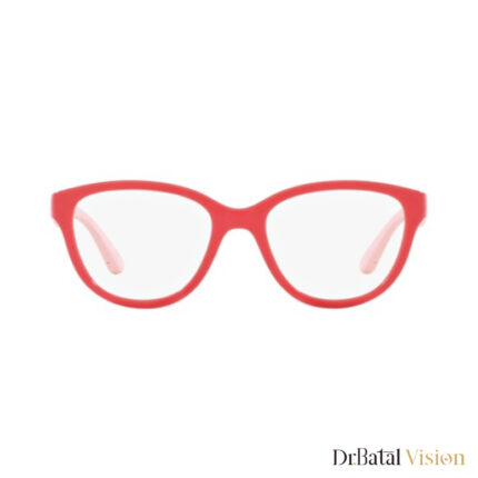 نظارات EMPORIO ARMANI Ek 3002 5380