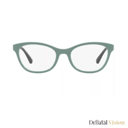 نظارات EMPORIO ARMANI ea 3204 5333