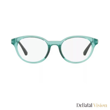نظارات EMPORIO ARMANI ea 3205 5741