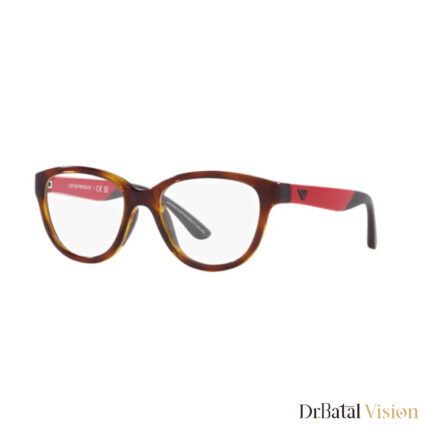 نظارات EMPORIO ARMANI ek 3002 5026