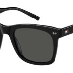 Sunglass-TOMMY HILFIGER-TH 2184/S
