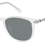 Sunglass-POLAROID-PLD 4187/G/S/X