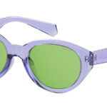 Sunglass-POLAROID-PLD 6051/G/S