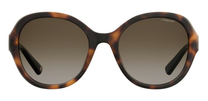 ⁦Sunglass-POLAROID-PLD 4073/S⁩ - الصورة ⁦2⁩
