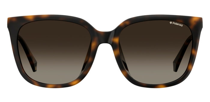 ⁦Sunglass-POLAROID-PLD 4083/F/S⁩ - الصورة ⁦2⁩