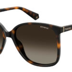 Sunglass-POLAROID-PLD 6096/S