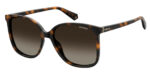Sunglass-POLAROID-PLD 6096/S