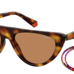 Sunglass-POLAROID-PLD 6108/S