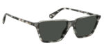 ⁦Sunglass-POLAROID-PLD 6126/S⁩ - الصورة ⁦2⁩