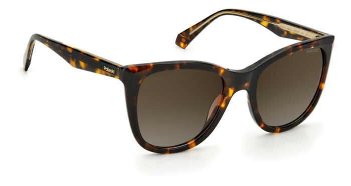 ⁦Sunglass-POLAROID-PLD 4096/S/X⁩ - الصورة ⁦2⁩