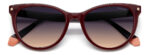 ⁦Sunglass-POLAROID-PLD 4111/S/X⁩ - الصورة ⁦4⁩
