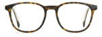 ⁦Optical-CARRERA-CARRERA 1131⁩ - الصورة ⁦3⁩