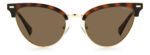 ⁦Sunglass-POLAROID-PLD 4122/S⁩ - الصورة ⁦3⁩