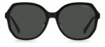⁦Sunglass-POLAROID-PLD 6177/G/S⁩ - الصورة ⁦3⁩