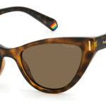 Sunglass-POLAROID-PLD 6174/S