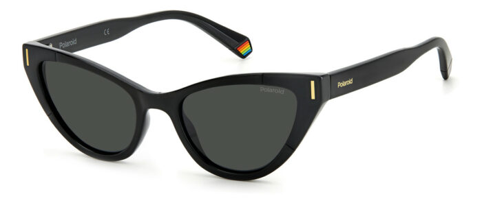 ⁦Sunglass-POLAROID-PLD 6174/S⁩ - الصورة ⁦1⁩