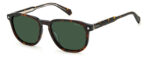 Sunglass-POLAROID-PLD 4117/G/S/X
