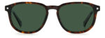 ⁦Sunglass-POLAROID-PLD 4117/G/S/X⁩ - الصورة ⁦3⁩