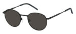 Sunglass-TOMMY HILFIGER-TH 1973/S