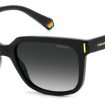 Sunglass-POLAROID-PLD 6191/S