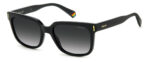 Sunglass-POLAROID-PLD 6191/S