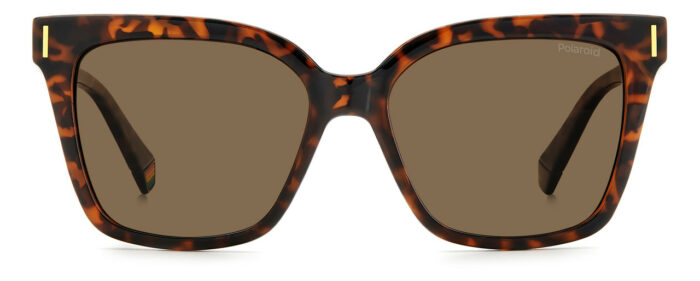 ⁦Sunglass-POLAROID-PLD 6192/S⁩ - الصورة ⁦3⁩