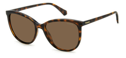 Sunglass-POLAROID-PLD 4138/S