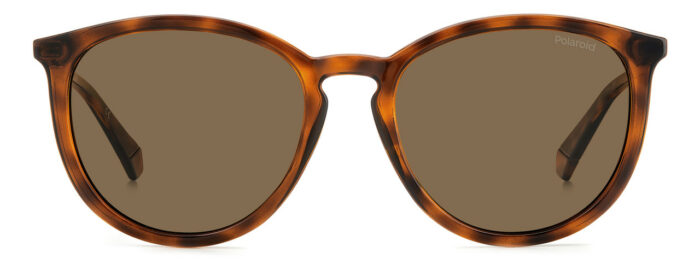 ⁦Sunglass-POLAROID-PLD 4143/S/X⁩ - الصورة ⁦3⁩