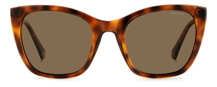 ⁦Sunglass-POLAROID-PLD 4144/S/X⁩ - الصورة ⁦3⁩