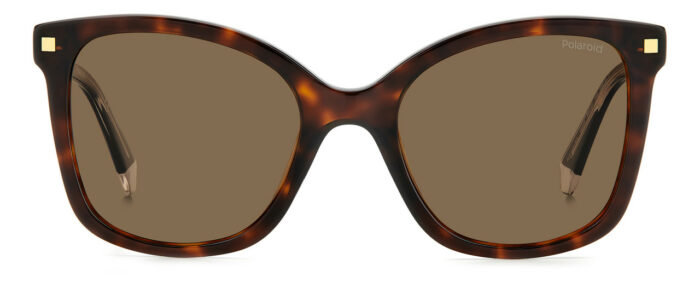 ⁦Sunglass-POLAROID-PLD 4151/S/X⁩ - الصورة ⁦3⁩