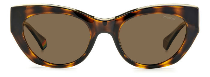 ⁦Sunglass frames-POLAROID-PLD 6199/S/X⁩ - الصورة ⁦3⁩