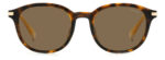 ⁦Sunglass frames-POLAROID-PLD 4148/G/S/X⁩ - الصورة ⁦3⁩