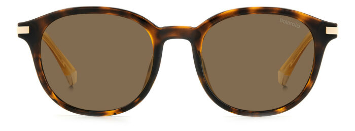 ⁦Sunglass frames-POLAROID-PLD 4148/G/S/X⁩ - الصورة ⁦3⁩