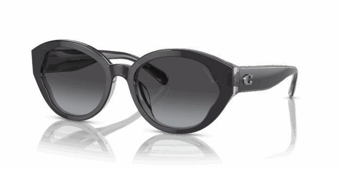 ⁦Sunglass frames-COACH-8364U⁩ - الصورة ⁦1⁩