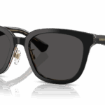 Sunglass frames-BURBERRY-4446D