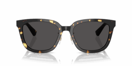 Sunglass frames-BURBERRY-4446D