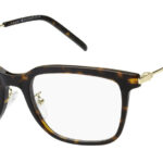 Optical frames-TOMMY HILFIGER-TH 1901/F