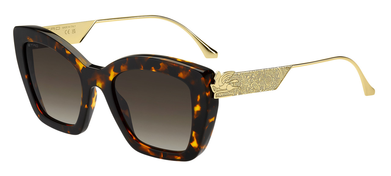 197737048556-P00.jpg Sunglass frames-ETRO-ETRO 0039/G/S - الصورة 1