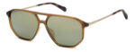 Sunglass frames-FOSSIL-FOS 2149/S