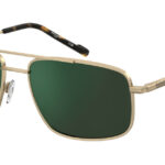 Sunglass frames-PIERRE CARDIN-P.C. 6910/S