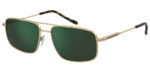 Sunglass frames-PIERRE CARDIN-P.C. 6910/S