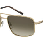 Sunglass frames-PIERRE CARDIN-P.C. 6910/S