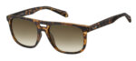 Sunglass frames-FOSSIL-FOS 3096/G/S