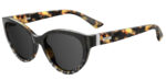 Sunglass frames-MOSCHINO-MOS065/S