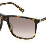 Sunglass frames-PIERRE CARDIN-P.C. 6223/S