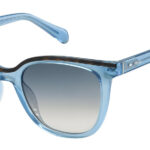 Sunglass frames-FOSSIL-FOS 3103/G/S