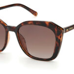 Sunglass frames-FOSSIL-FOS 3116/S