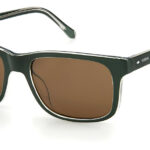 Sunglass frames-FOSSIL-FOS 3119/G/S