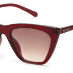 Sunglass frames-FOSSIL-FOS 3121/S