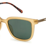 Sunglass frames-FOSSIL-FOS 3130/G/S